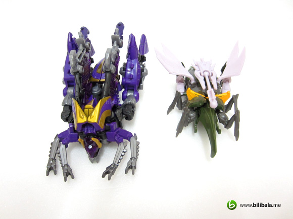 prime_hardshell_compare1