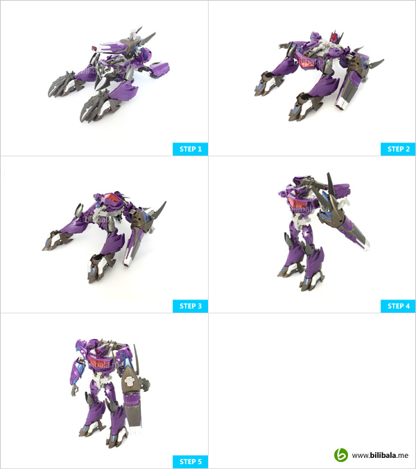 prime_shockwave_transform